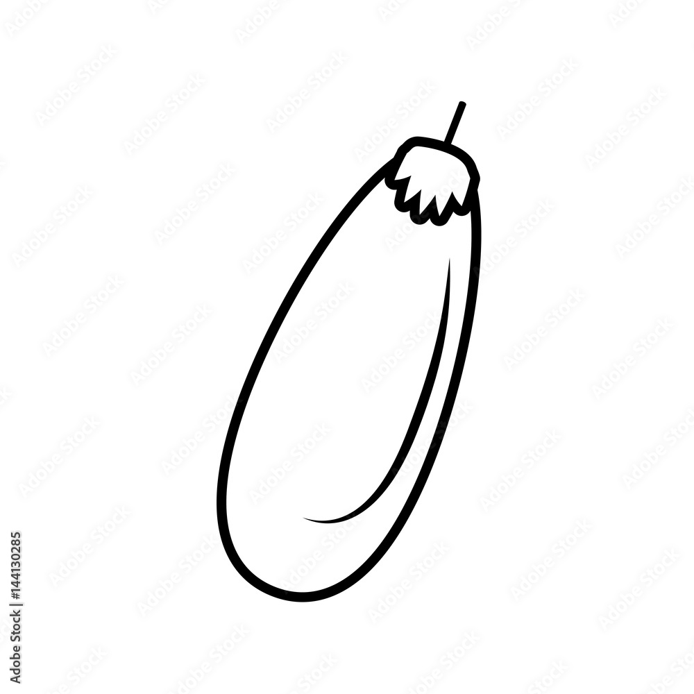 eggplant vegetable fresh oultine vector illustration eps 10 eggplant vegetable fresh oultine vector illustration eps 10