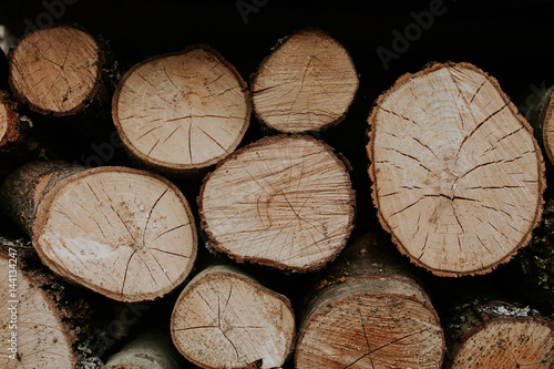 Fototapeta Naklejka Na Ścianę i Meble -  Pile of natural wooden wood. Cross-sectional image of firewood, front view. Woodpile of cut trees in the lumberyard. Background and texture with space for text or image. Fire wood prepared for winter.