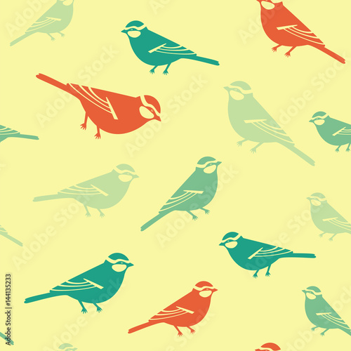 Birds colored background watermellon pattern