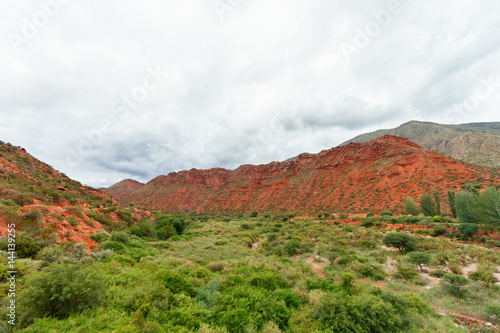 Valley with shrubs among red hills in La Rioja, Argentina