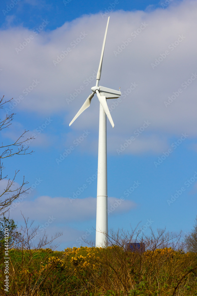A local wind turbine with its 3 vanes stands idle on a bright spring afternoon in Conlig in Northern Ireland A local wind turbine with its 3 vanes stands idle on a bright spring afternoon in Conlig in Northern Ireland