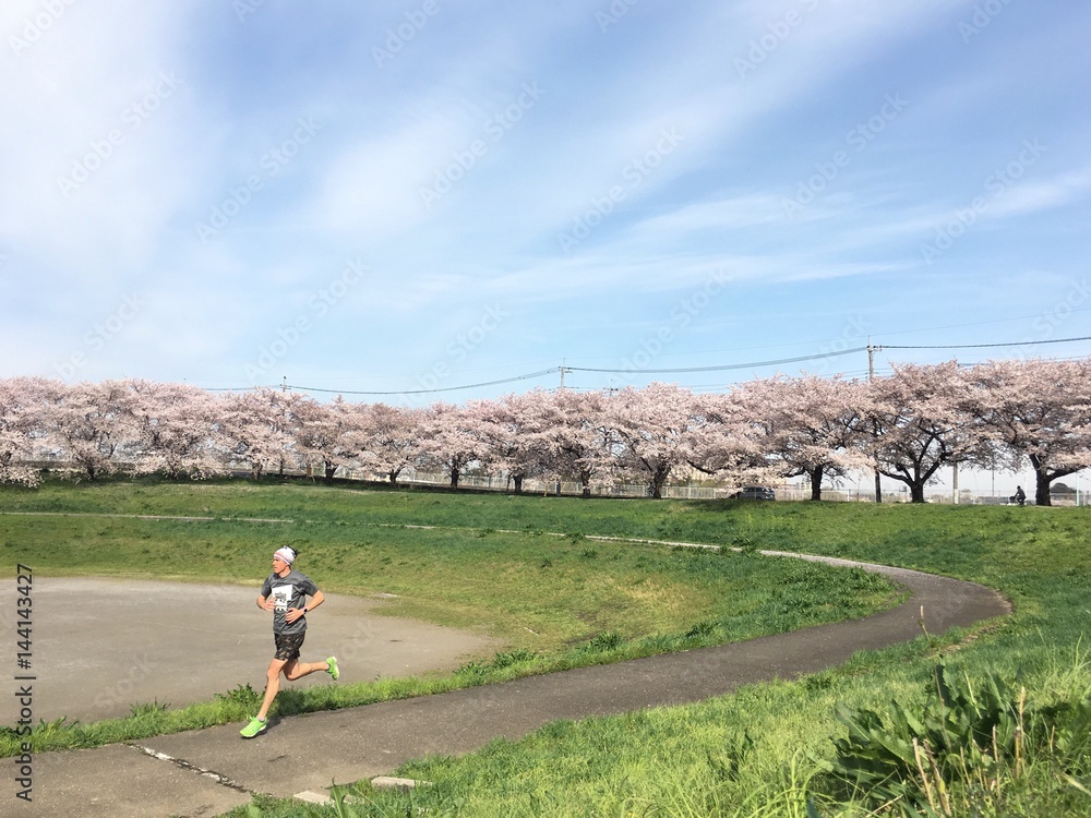 Man running in park in spring with cherry blossoms on trees