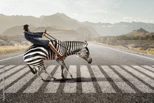 Obraz na plátně Businesswoman ride zebra . Mixed media