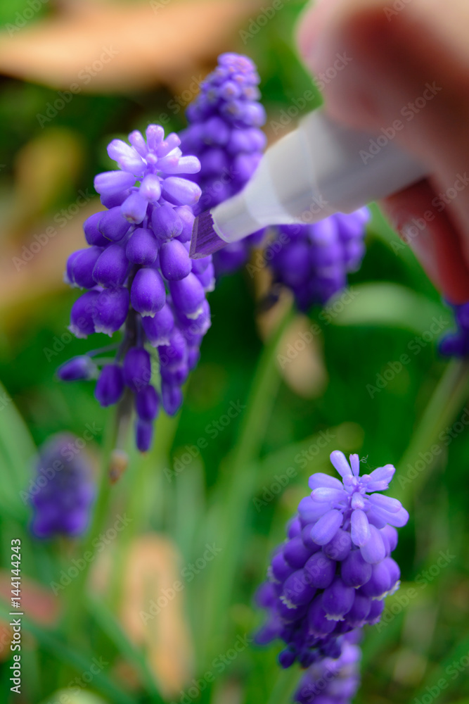 Drawing a spring Drawing a spring