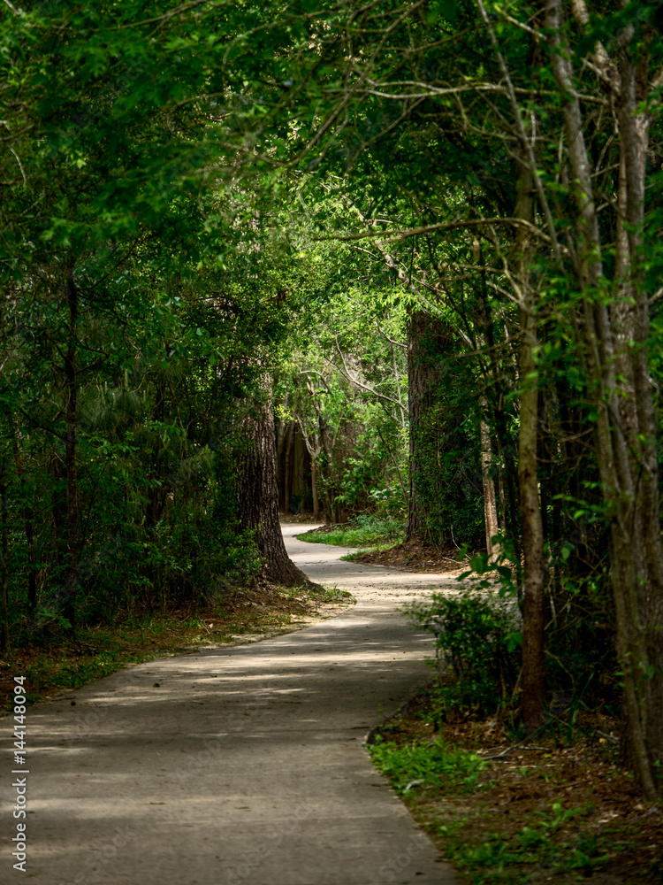 Winding Path through the Woods Stock 写真 Adobe Stock