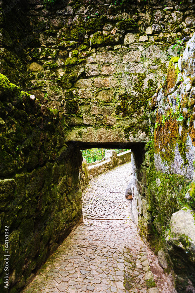 The park is near the castle of the Moors. Sintra. Portugal The park is near the castle of the Moors. Sintra. Portugal