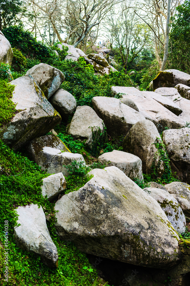 The park is near the castle of the Moors. Sintra. Portugal The park is near the castle of the Moors. Sintra. Portugal