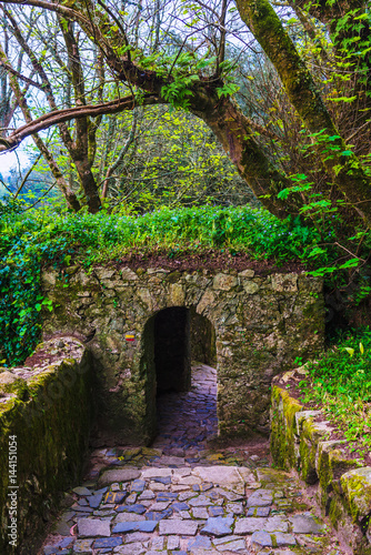 The park is near the castle of the Moors. Sintra. Portugal