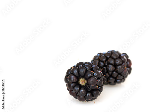Blackberries on white background.