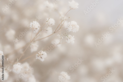 Burred flower background © Supitchamcadam