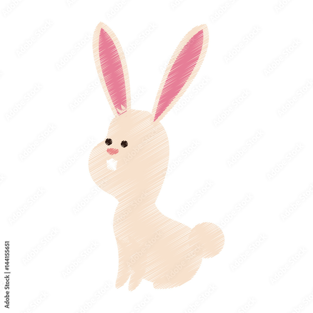 Fototapeta premium rabbit or bunny cute animal cartoon icon image vector illustration design 