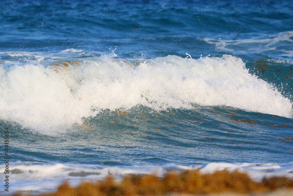 Fototapeta premium Waves