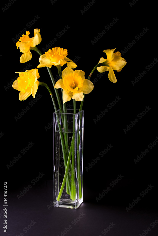 Yellow flowers on a black background Yellow flowers on a black background