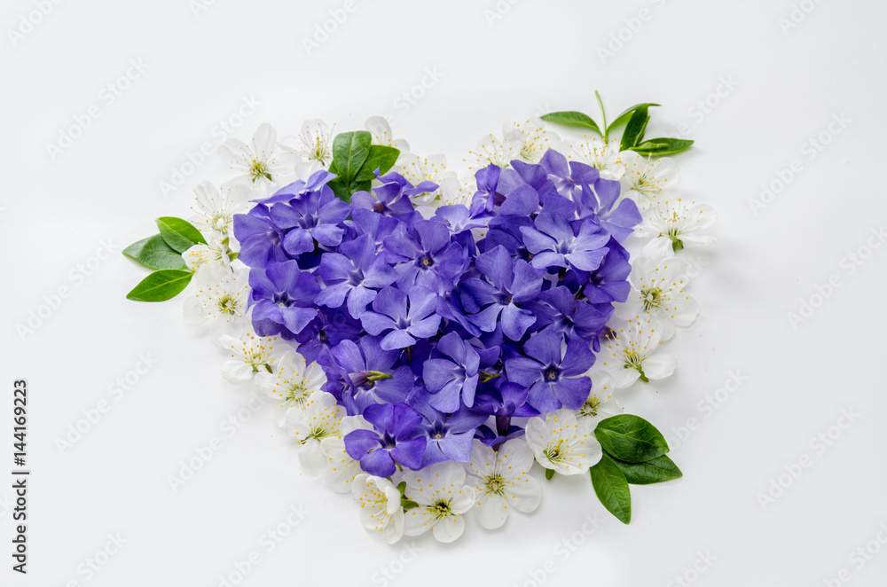 Obraz premium A beautiful heart made of flowers. White and blue florets in the shape of a heart on a white background