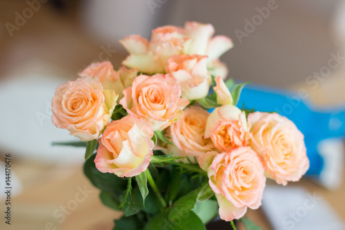 Zauberhafte rosa Rosen Nahaufnahme © albert.kath