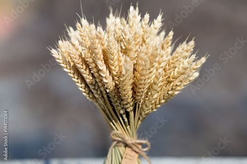 Wheat bouquet photo