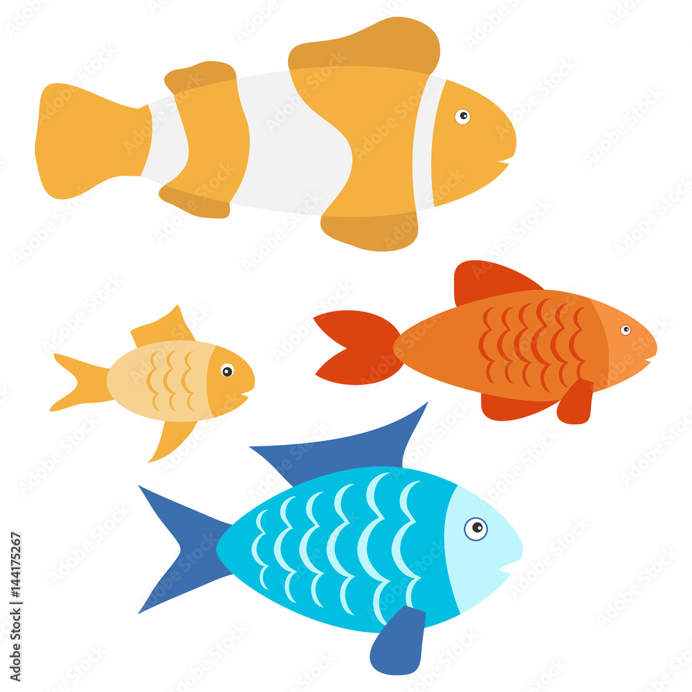 Naklejka premium Aquarium fish