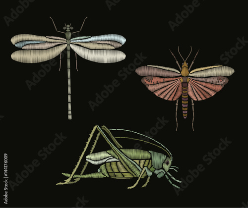 Set of dragonfly, butterfly and grasshopper. Vintage decorative element for embroidery, patches and stickers. Vector illustration