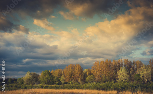 Sunlight in the nature