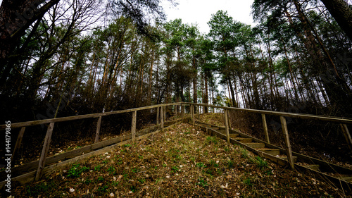 wooden stairs on a trail in forest