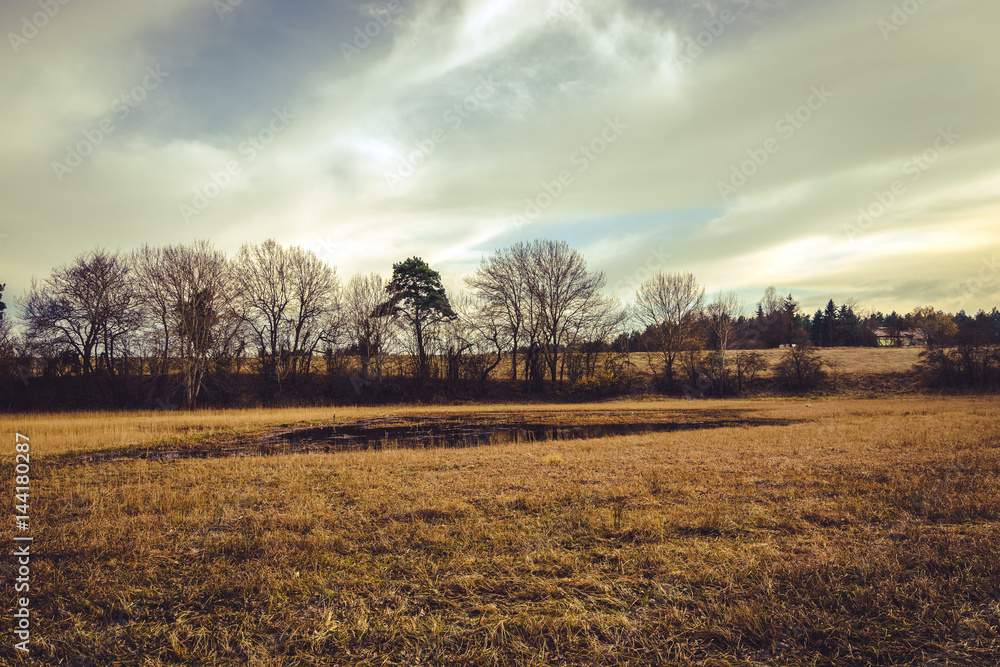 Fototapeta premium lake in the forest on a meadow