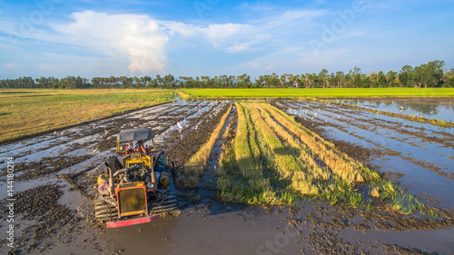 farmer use tractor prepare the ground