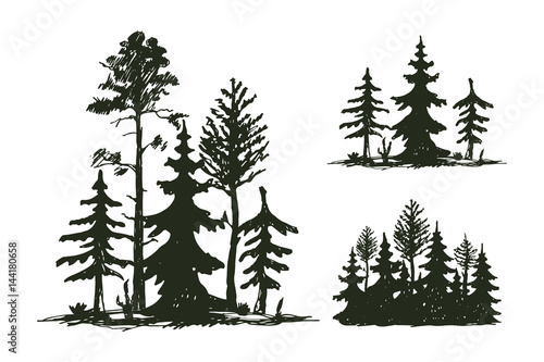 Tree outdoor travel black silhouette coniferous natural badge, tops pine spruce branch cedar and plant leaf abstract stem drawing vector illustration.