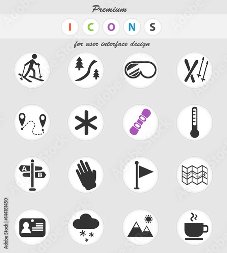 skiing icon set