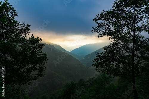 Wallpaper Mural Macahel Valley in Eastern Black Sea, Artvin, Turkey. Torontodigital.ca