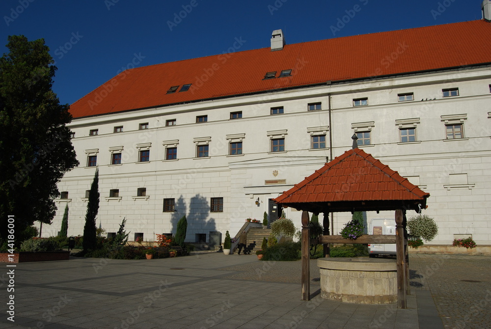 Obraz premium Sandomierz, Zamek.