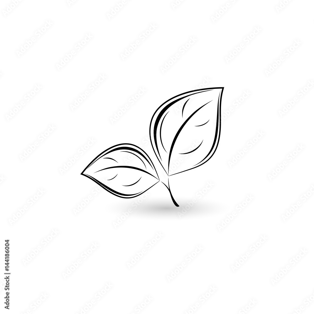 Isolated black leaf. Floral element for design Isolated black leaf. Floral element for design