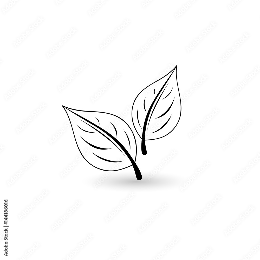 Isolated black leaf. Floral element for design Isolated black leaf. Floral element for design