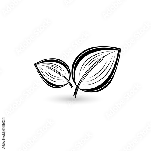 Isolated black leaf. Element for design. Illustration.