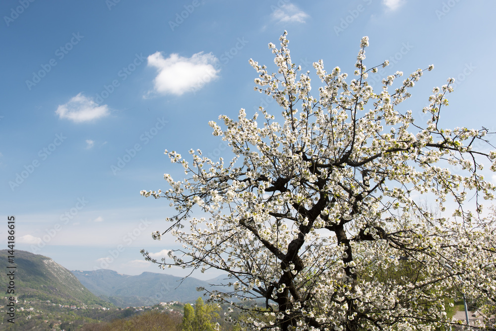 Views. Glance from the hills to the Julian Pre-Alps Views. Glance from the hills to the Julian Pre-Alps