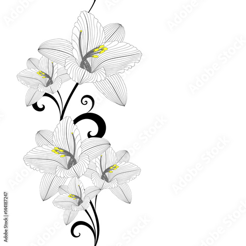Seamless hand-drawing floral background with flower lily