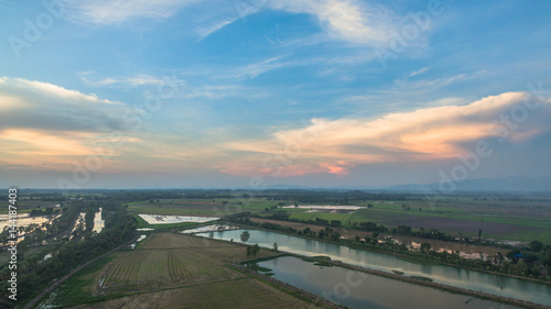 rice fields in sunset time