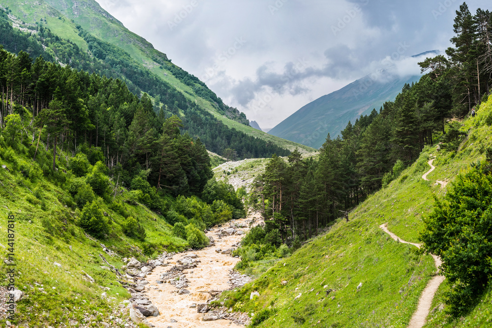 Summer mountain landscape with pine forest and small rough river in cloudy weather before the rain. Irik gorge, Elbrus region, Russian Caucasus.