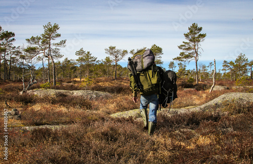 Adult man, strong male photographer carrying heavy backpacks, walking into the Norwegian forest for his next shoot.