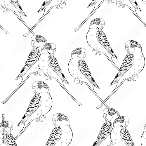 seamless pattern coloring with cute wavy parrot   illustration