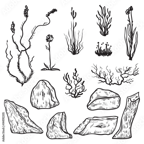 North tundra plants and icebergs. Black and white design elements in sketch style. Vintage hand drawn vector illustration