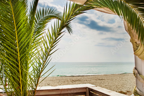 Palm tree and view of the beach, sea and sunny day, Leptokaria, Greece