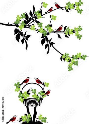 tree with birds