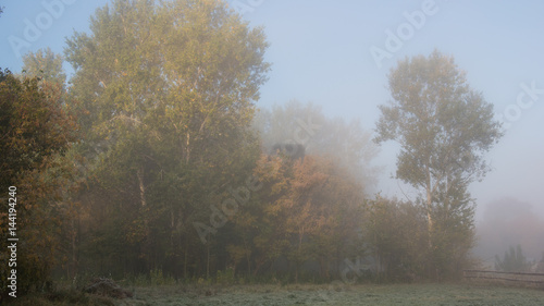 misty morning in autumn, a rustic landscape. Panorama.