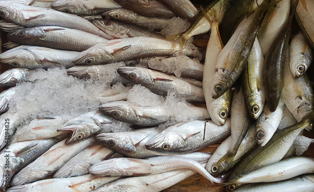 Fototapeta premium Fish market