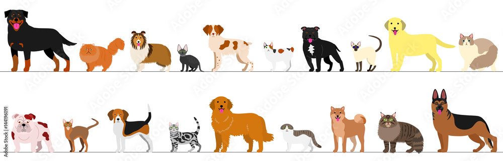 standing dogs and cats border set