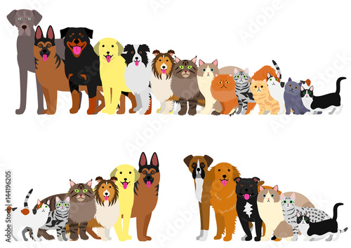 Border of dogs and cats arranged in order of height © Studio Ayutaka