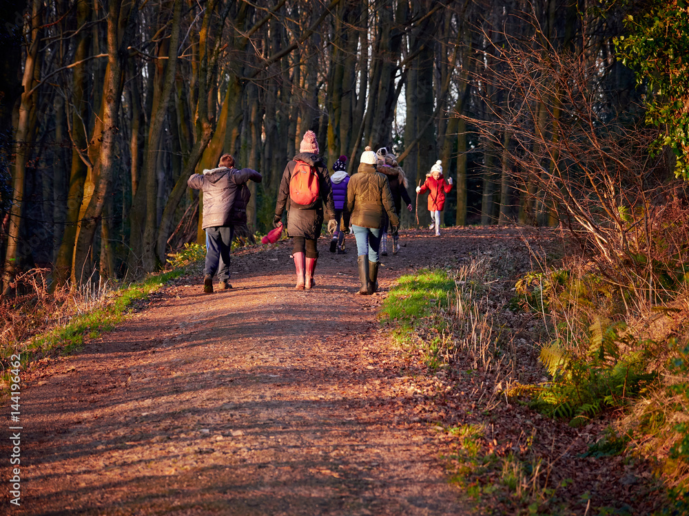 A family out for an evening woodland walk at sunset.