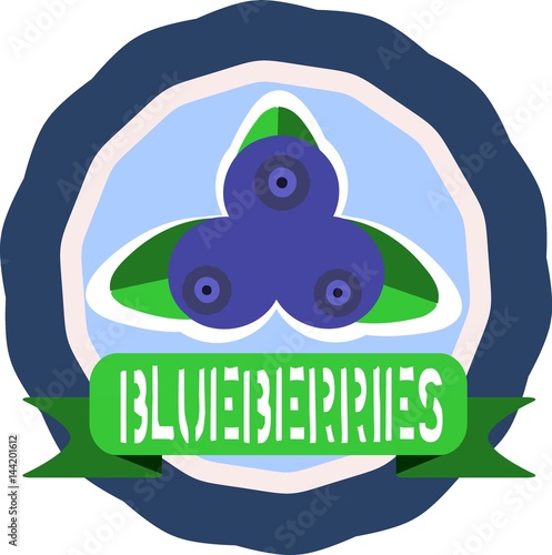 Blueberries retro vintage icon with ribbon.