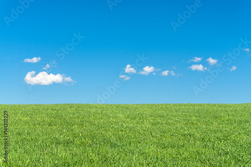 Green grass field with clear blue sky and white clouds
