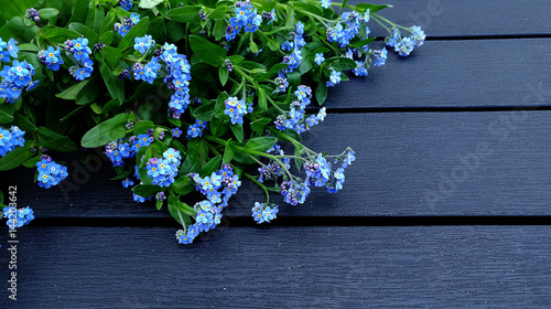 Forget-me-nots symbolic background